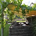 Gaestezimmer Im Weingut Amlinger&sohn Bed & Breakfast
