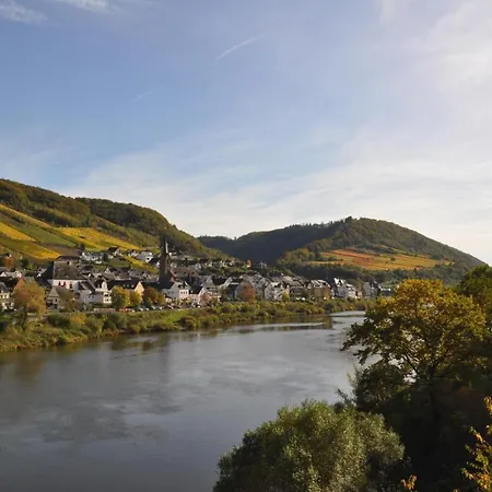 住宿加早餐酒店 Gaestezimmer Im Weingut Amlinger&sohn Neef