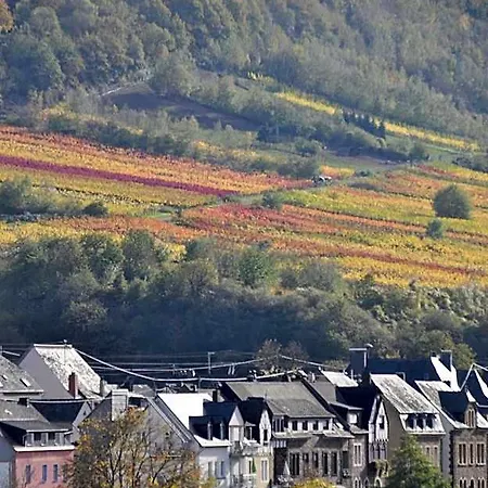 Gaestezimmer Im Weingut Amlinger&sohn Neef