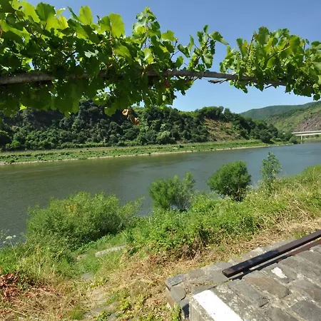 Bed & Breakfast Gaestezimmer Im Weingut Amlinger&sohn