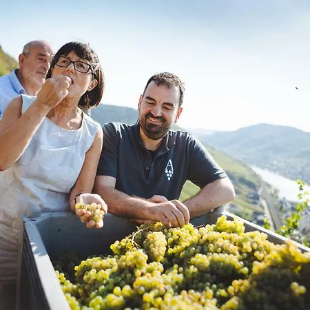 Alojamento de Acomodação e Pequeno-almoço Gaestezimmer Im Weingut Amlinger&sohn