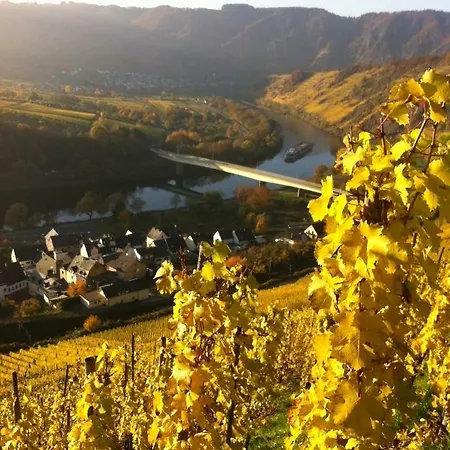Gaestezimmer Im Weingut Amlinger&sohn 3* Neef