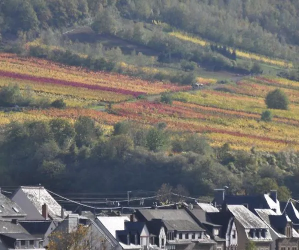 Gaestezimmer Im Weingut Amlinger&sohn 3*