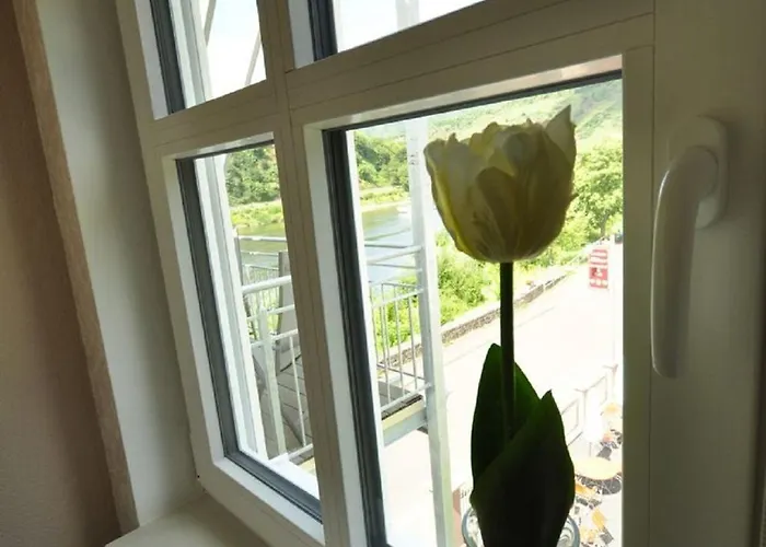 Gaestezimmer Im Weingut Amlinger&sohn 3* Neef