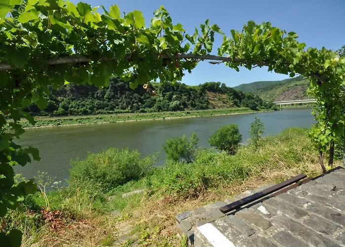 Nocleg ze śniadaniem Gaestezimmer Im Weingut Amlinger&sohn
