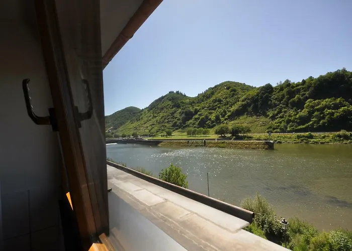 Nocleg ze śniadaniem Gaestezimmer Im Weingut Amlinger&sohn