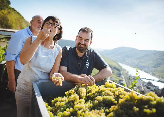 住宿加早餐酒店 Gaestezimmer Im Weingut Amlinger&sohn