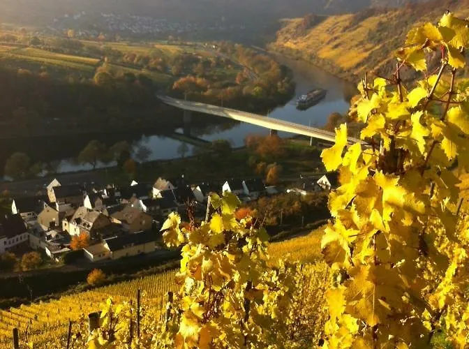 Gaestezimmer Im Weingut Amlinger&sohn 3* Neef